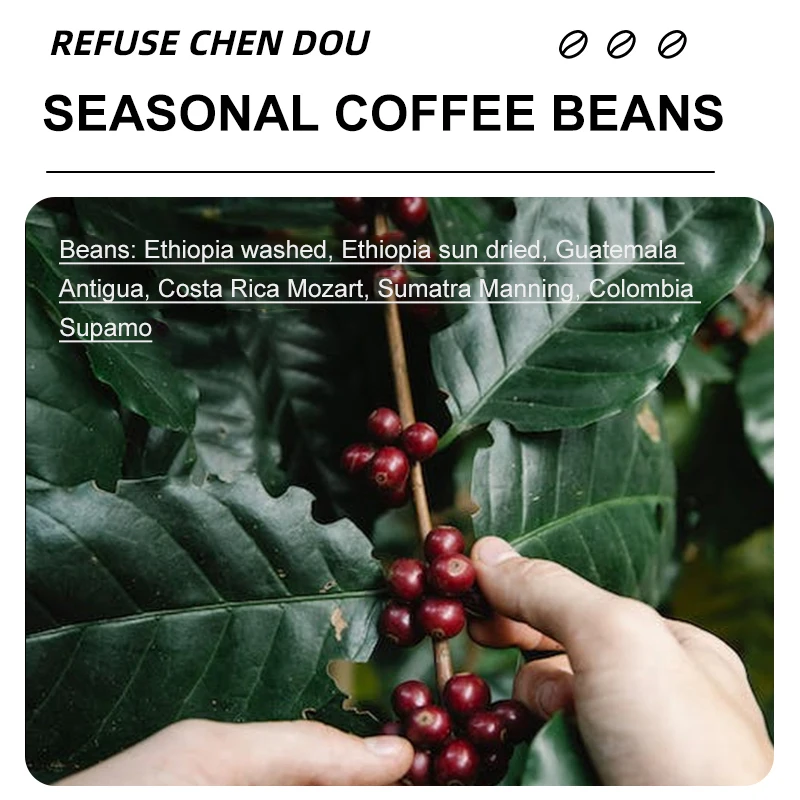 Low price AA+ grade medium dark roasted whole bean coffee freshly ground roasted coffee beans for sale