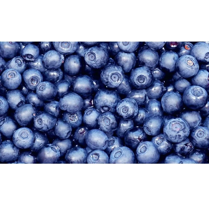 Eco-friendly Box Packaging GOST Standard Fresh Tasty and Enriched Huckleberry Berries With Vitamins C, K and B6, Minerals