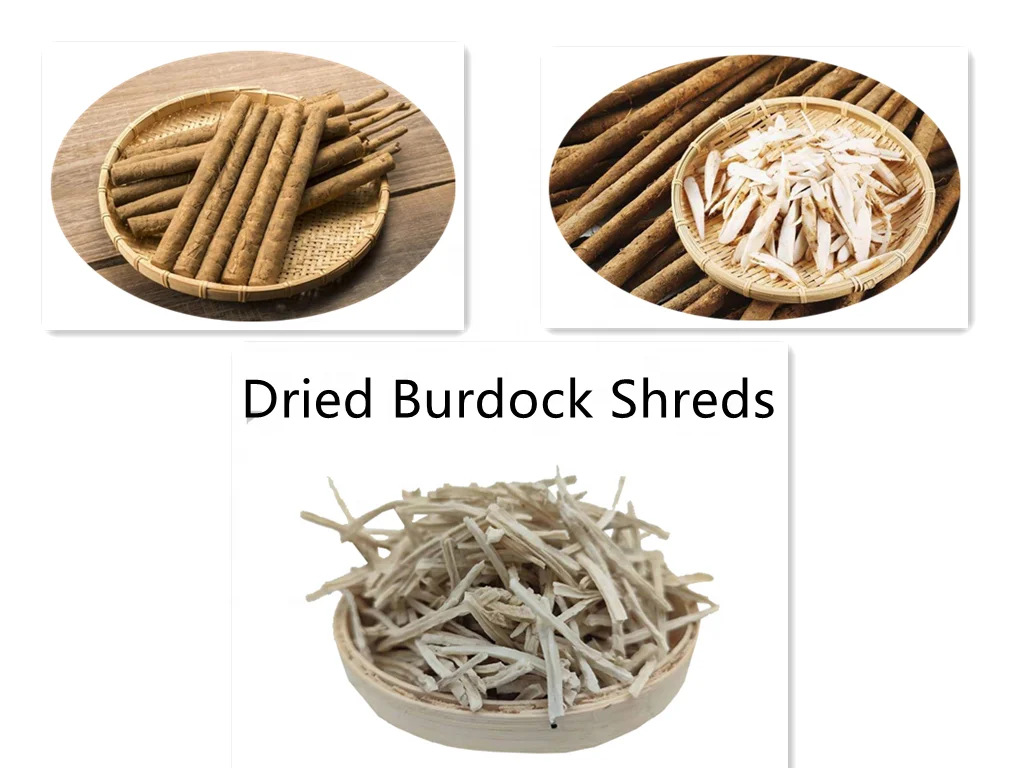 Chinese Fresh Great Burdock AD Dehydrated Dried Fresh Burdock Root