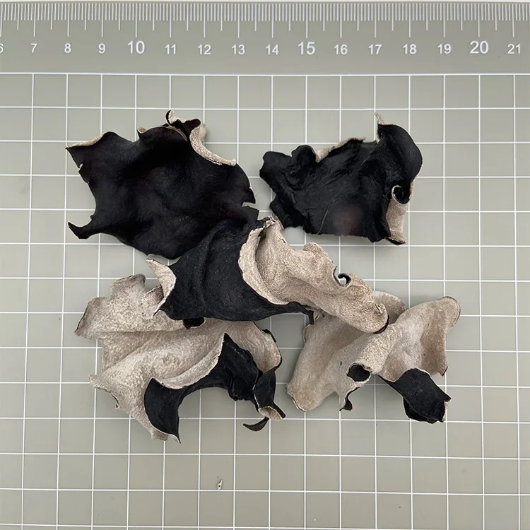 Healthy No Addition Cultivated Edible Agaric Organic small Dried White Back Black Fungus