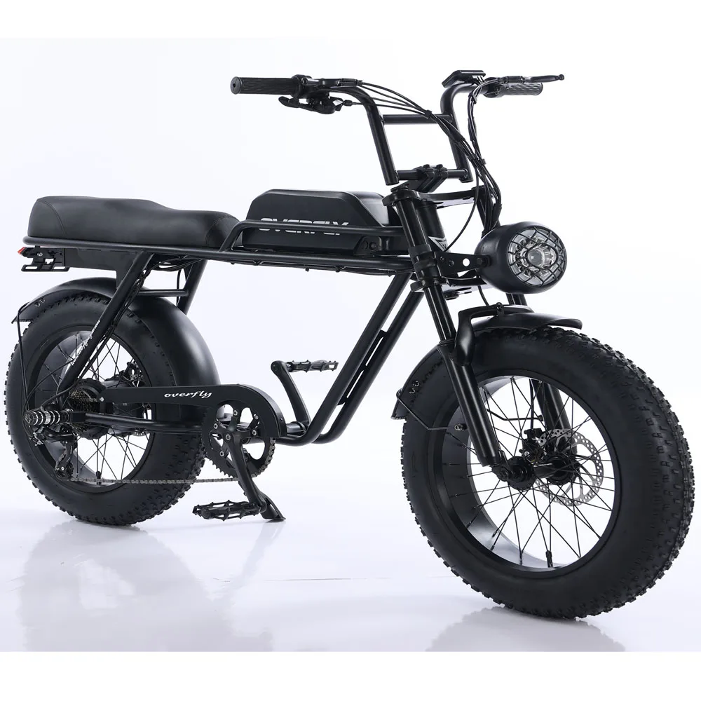 2023 Fat tire electric bicycle (FP-EB23006)