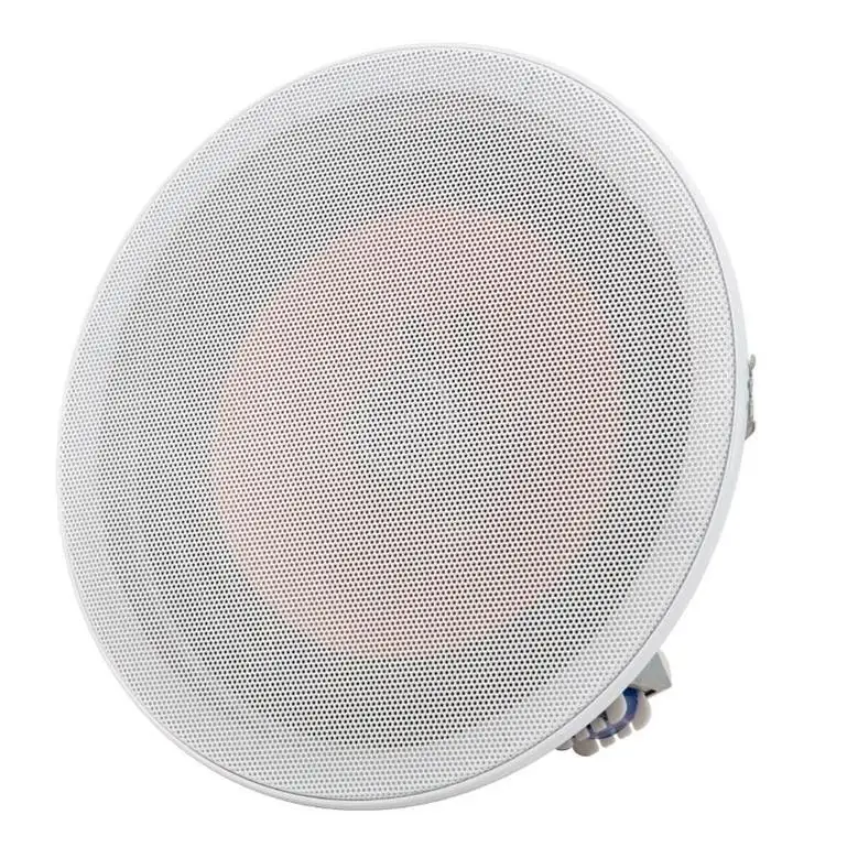 Amplifier 50 Watts 50W Subwoofer 3 Inch Diy In Wall Amplified 10 Inch 1U Power Tv Plate Empty Stage Tannoy Speakers