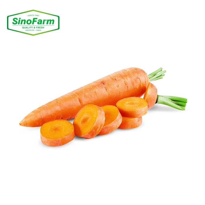 China Fresh Carrot Packed in Carton  Bulk Carrots Export Wholesale Price
