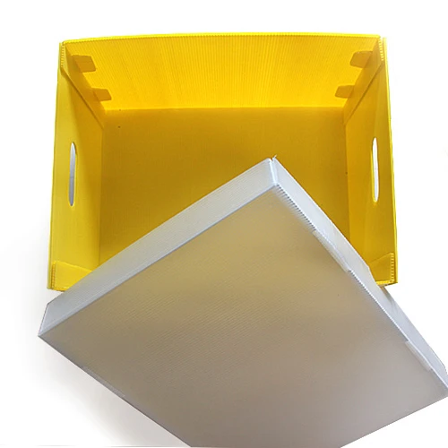 Wholesale durable Correx Plastic Pizza Delivery Box For Scooters And Motorcycles