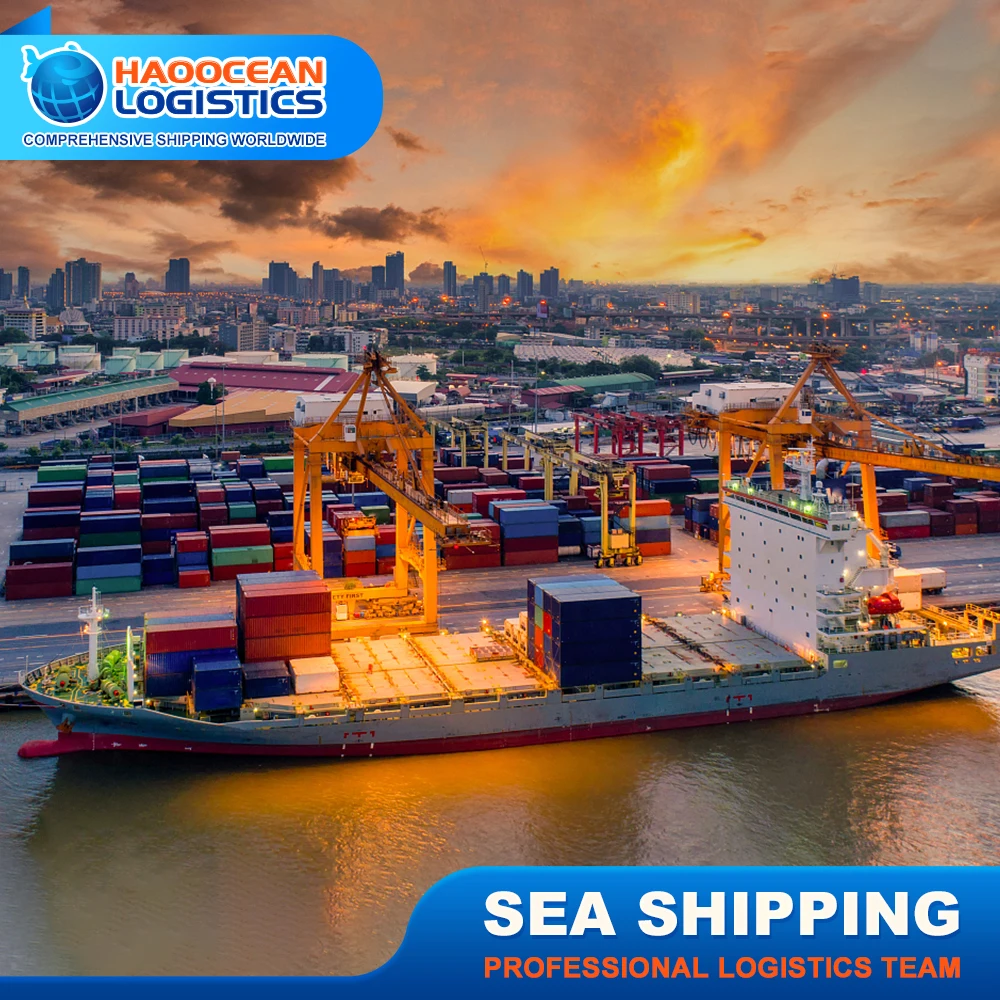 Professional China Freight Forwarder Sea Shipping To Poti 40GP/40HQ Container Ocean Cargo Shipping