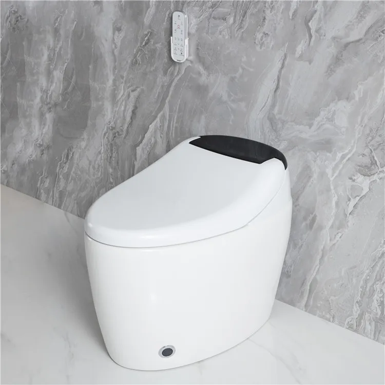 Modern style cheap one piece floor mounted bathroom intelligent wc ceramic bidet smart toilet