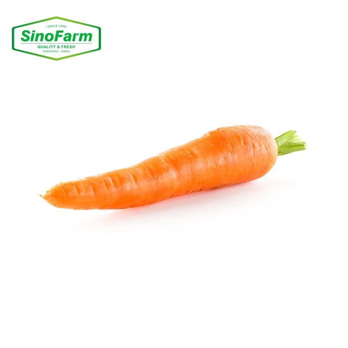 New Fresh Carrot Seeds Wholesale Best Price Red Carrot New Crop