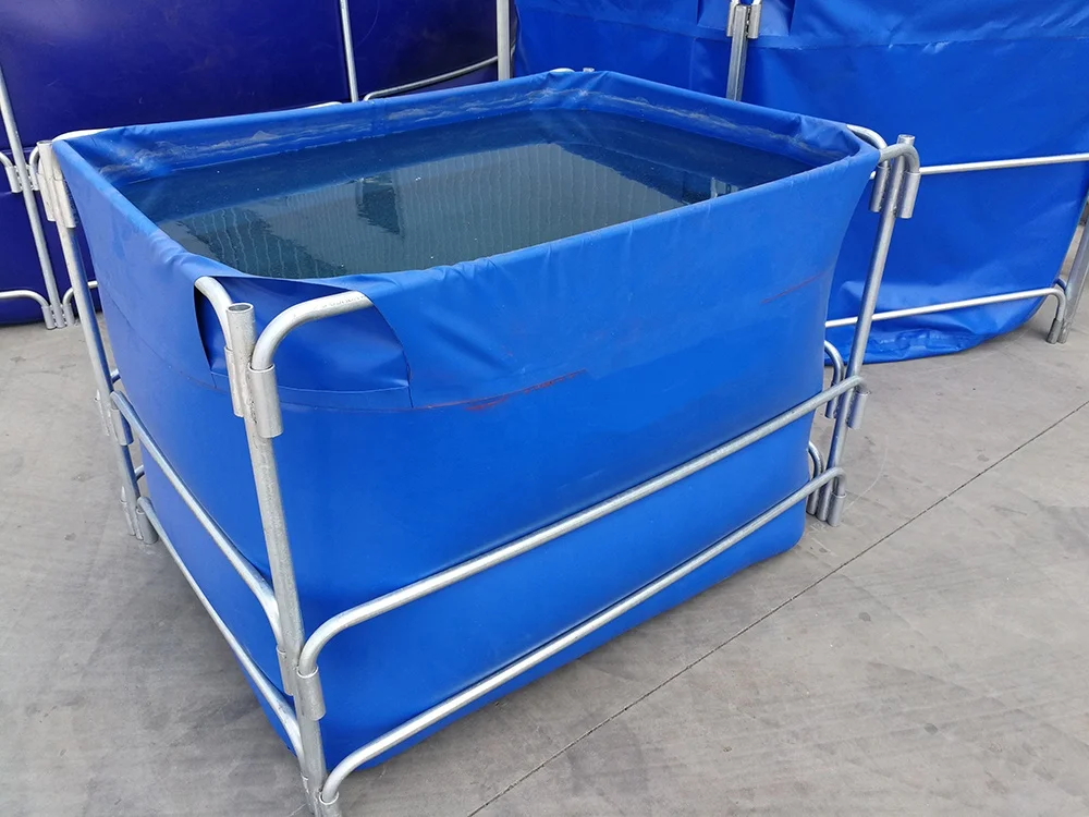 Summer children can swim in the swimming pool  fish pool swimming circle cool