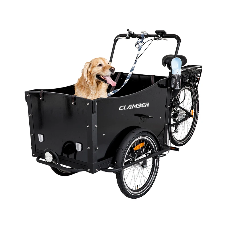 Electric Cargo Bike with Rear Carrier Battery 36v Three-Wheel Steel Frame for School Bus Use