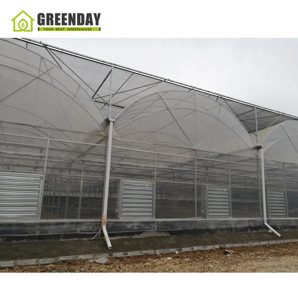 
GREENDAY Chinese morden plastic multi span greenhouse with irrigation system 