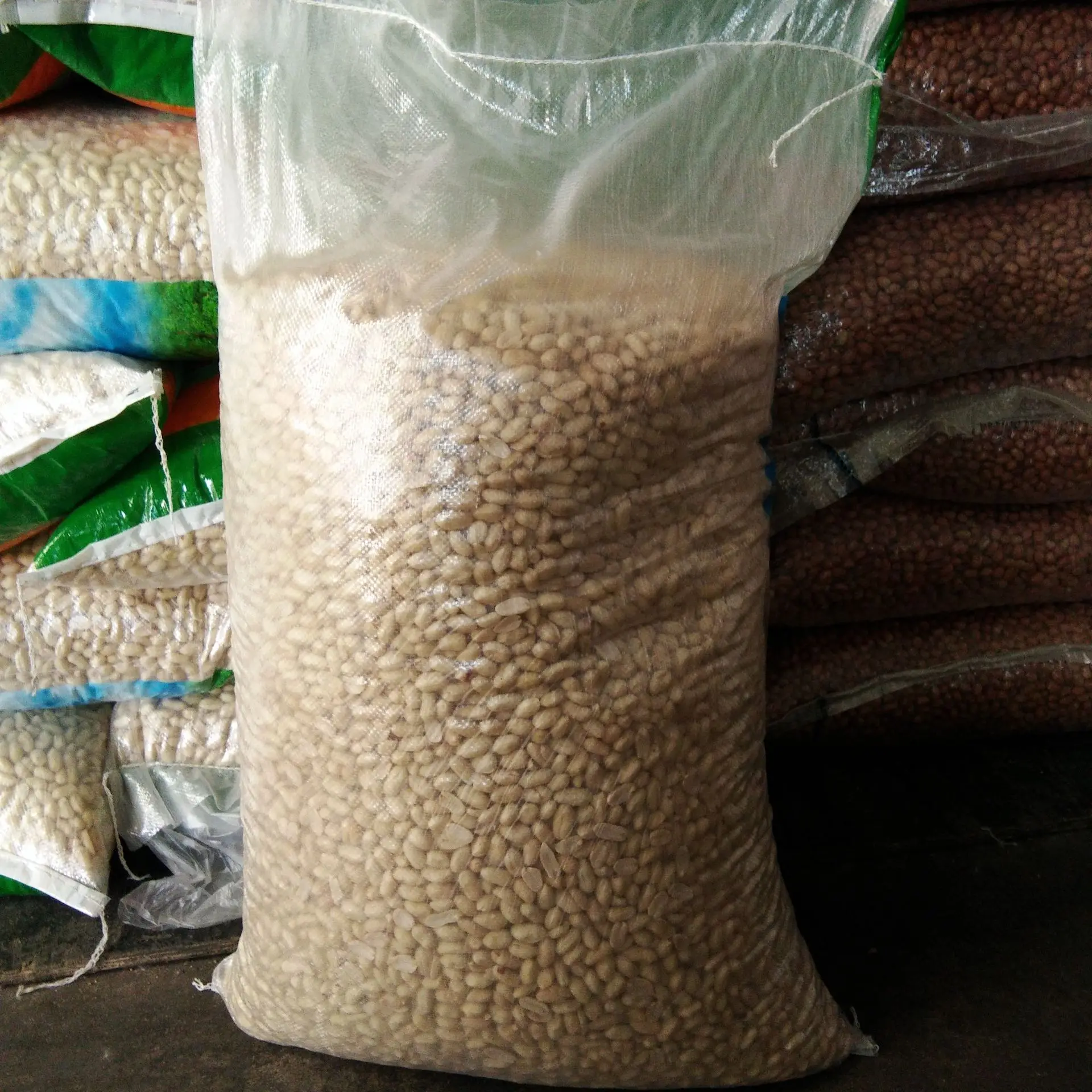 Nutritious nuts Peanut China Origin Peanut kernels raw type Top Grade Peanuts for eating/cooking/snacking/squeezing oil