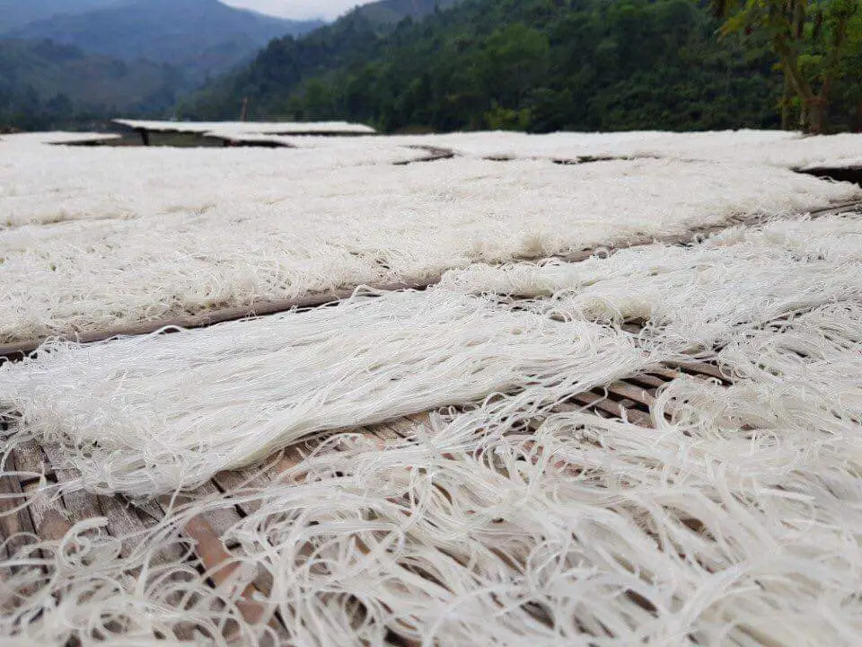 Vietnamese Vermicelli Rong / Dao Organic Purity Gain Product Healthy Tasty Sugar-Free No Preservatives