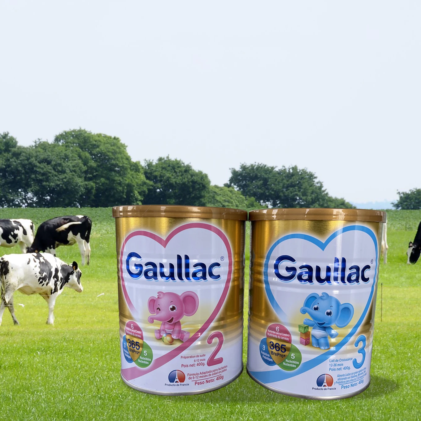 Молочный порошок для младенцев Gaullac