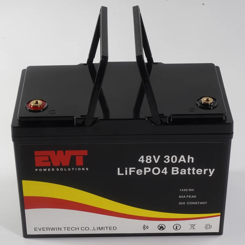48V 30AH High Quality Electric Scooter Power Supply Battery Replacement