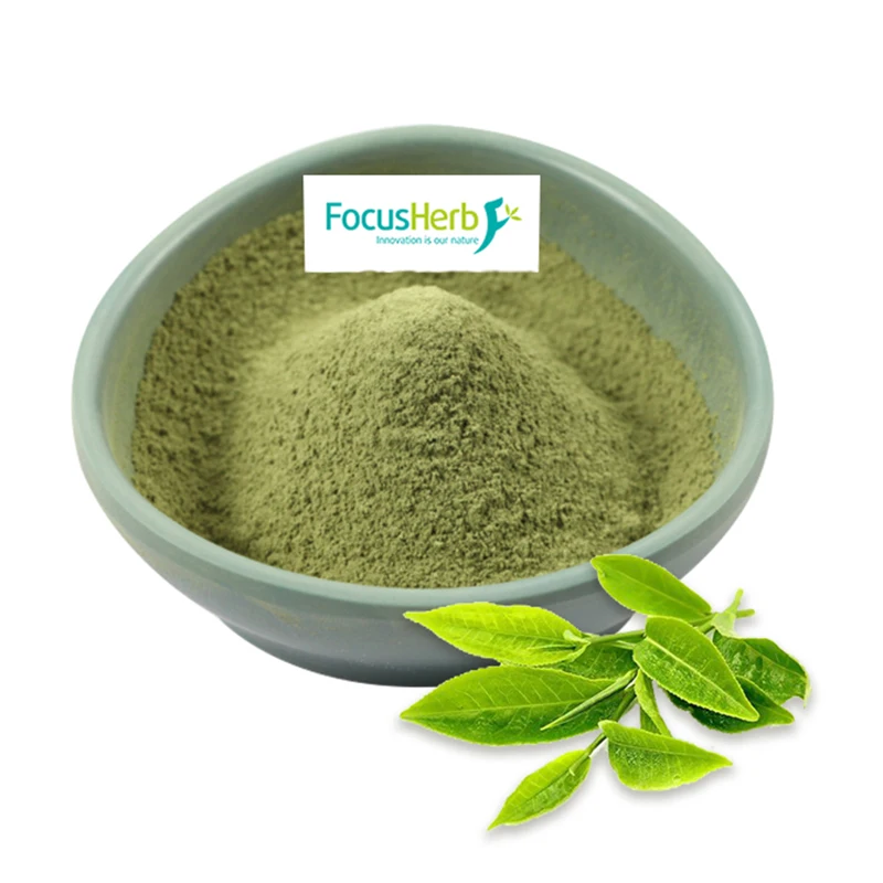 
FocusHerb NOP & EU Organic Matcha Green Tea Powder 