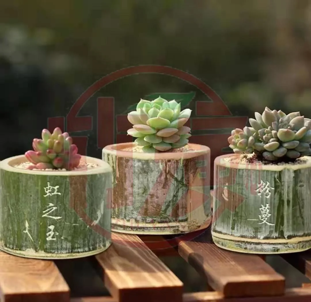 Natural Bamboo Flower Pot/Original Ecological Creative Gardening Flower Succulent Green Plant Bamboo Flower Pot