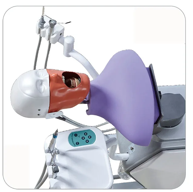 electronic torso simulator medical educational simulator dentistry simulator manikin dental practice head model