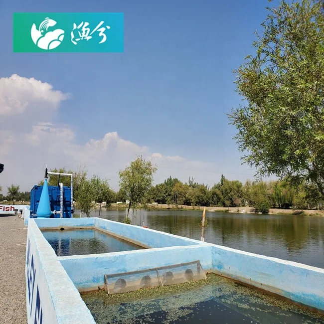 
Breeding Fish for Profit Recirculation Water Treatment Systems in outdoor Aquaculture Fish Farming 