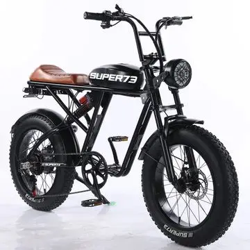 Trendy 2024 Leili 48V 1000W super73 Electric Mountain Bike Full Suspension Powerful Enduro Steel Bomber Electric Bafang Frame