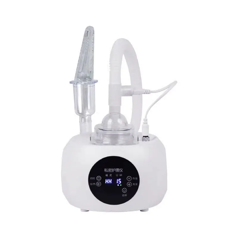 Portable Private vaginal firming ozone instrument