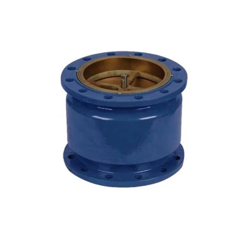 DN500 Large Size Silent Check Valve for Water Pipe System