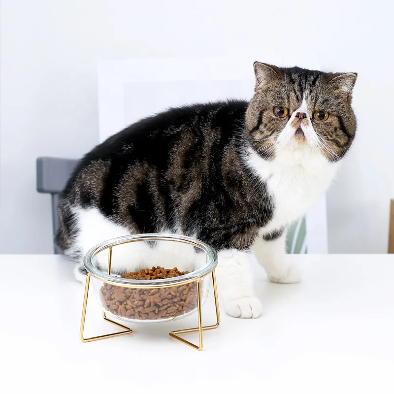 Hot Selling Customized Pet Food Feeder Glass Bowl Pet Cat Dog Bowl With Stainless Steel Stand