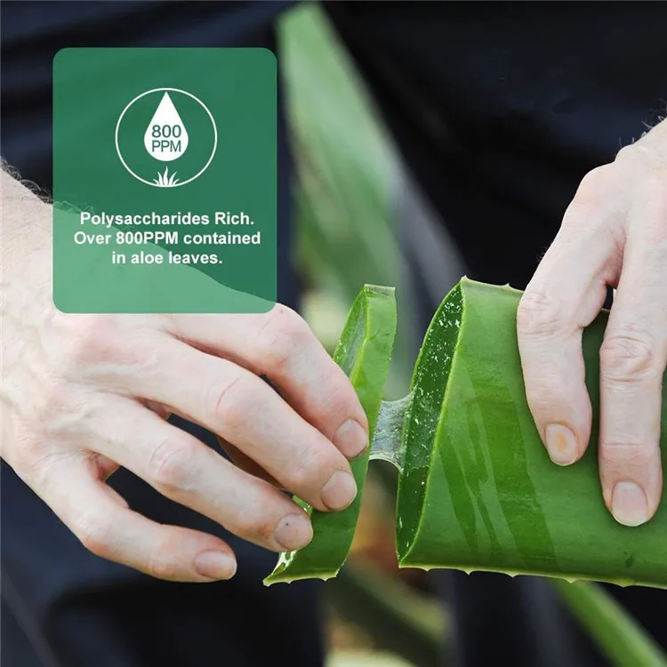 OEM new product korea Skincare best natural moisturizing soothing Organic 100% natural capsule pure aloe vera gel for face