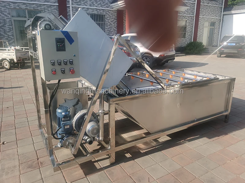 Stainless Steel Special cleaning machine for mulberry leaves Vegetable Algae Chili Onion Potato Cleaning Machine