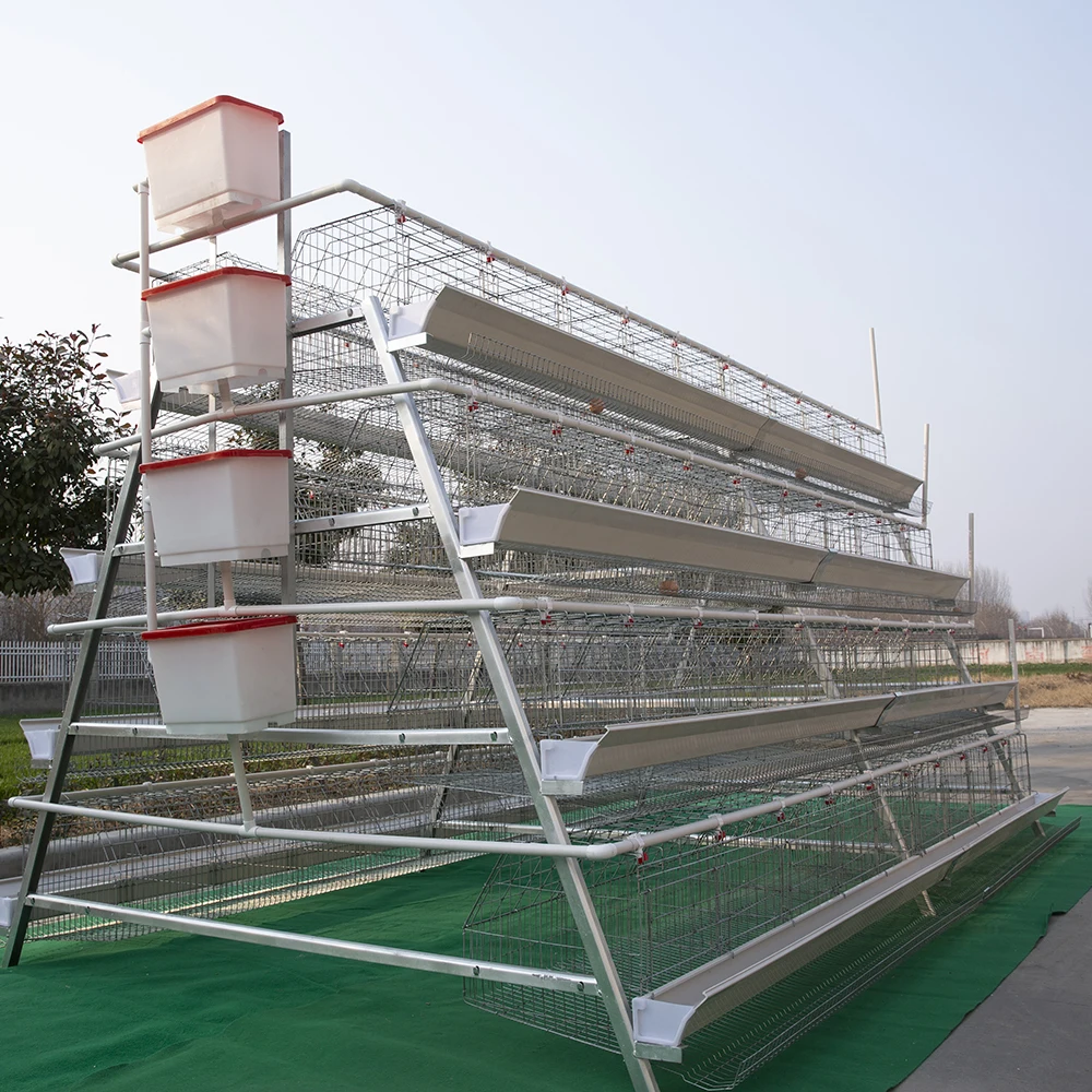 Layer Farm 3 Tier 4 Tier Laying Hens Chicken Cage Hen Egg Chicken Laying Cage For Sale