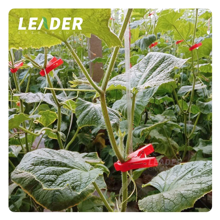 Agricultural UV protection plastic white garden plant support tomato cucumber grafting vine clip for tunnel greenhouse