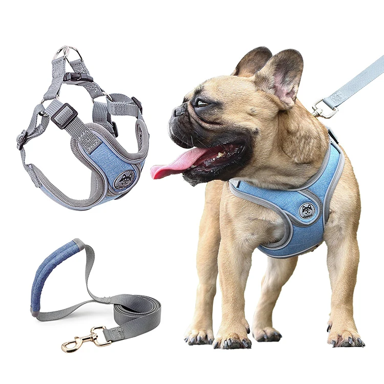 2024 Eco friendly easy walk dog cat harness hanger packaging escape proof with patch corduroy with handle tactical name