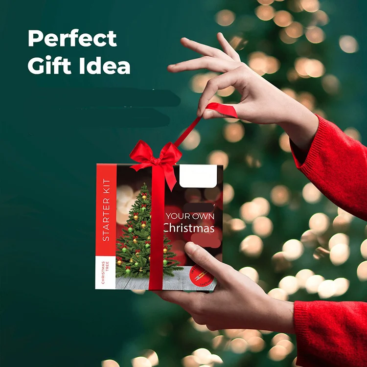 Easily 4 Varieties Beginner Friendly Christmas At Home Tool Set Starter Kit