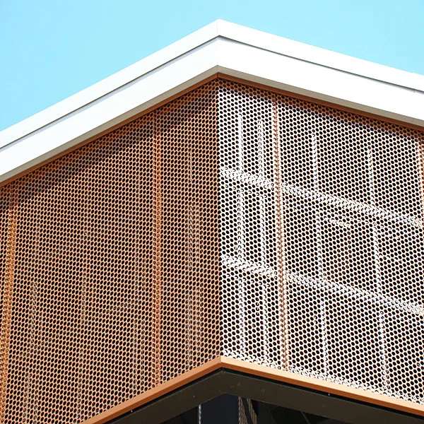 ACEBOND Panel Colorful Anodized Aluminum Plates Hexagonal Perforated Metal Stainless Steel Fly Screen Mesh within 20 Days CN;GUA