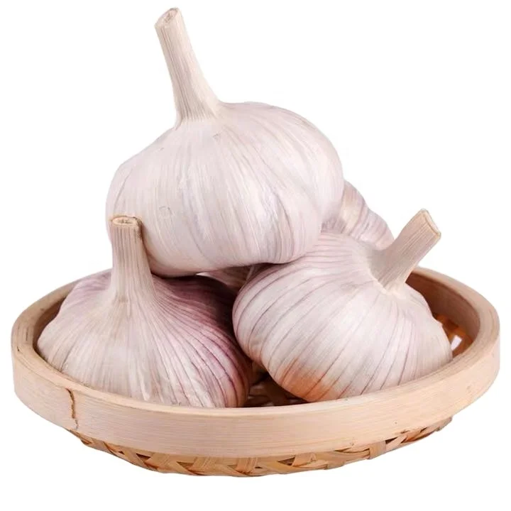 wholesale fresh garlic price from china/chinese garlic market