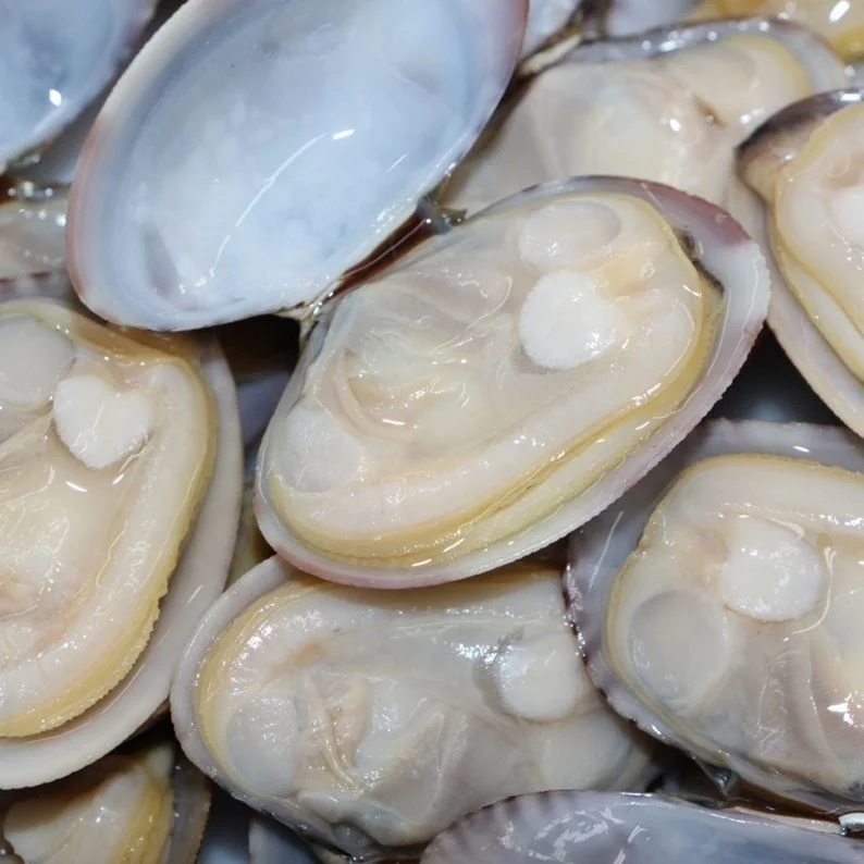 
Seafood Importer Exporter Frozen Baby Clams Whole Shell 