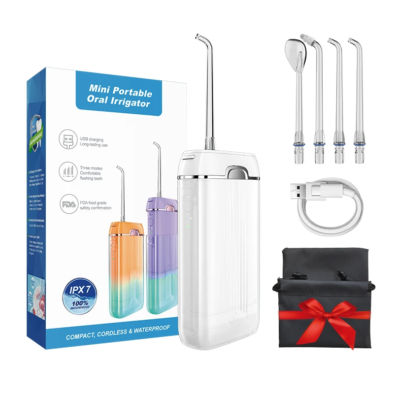 IPX7 Waterproof Professional 4 Interchangeable Jet Tips Teeth Cleaner Water Dental Flosser for personal use