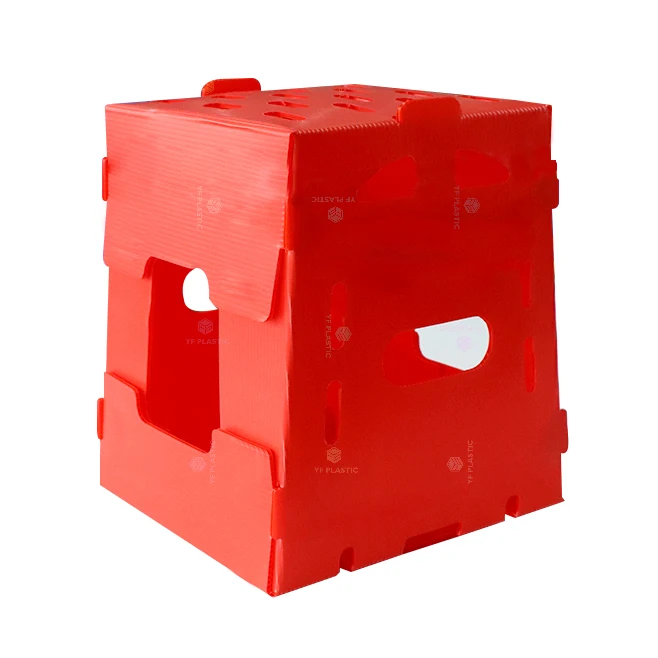 3mm 4mm 5mm Recycled Custom Logo PP corrugated Fruit Box Packing Vietnam Fresh Asparagus packing boxes