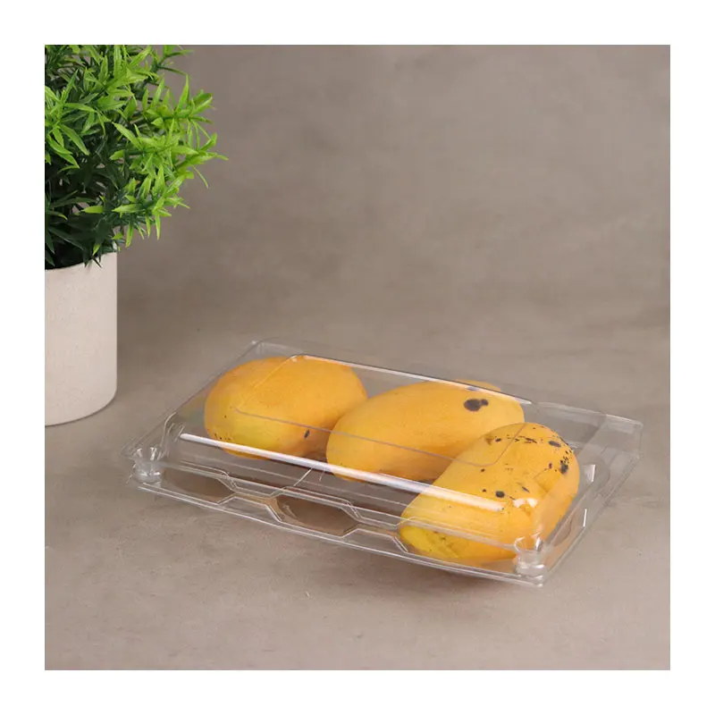Trays Transparent Clear Pet Plastic Container Plastic Trays Food Packaging Container Box