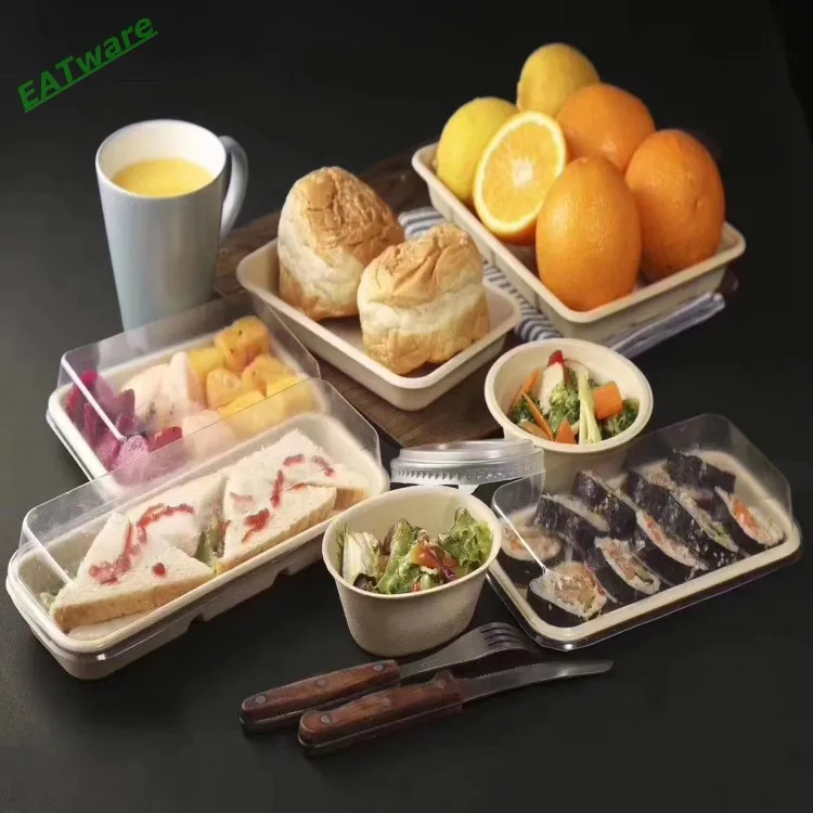 Factory Wholesale disposable food container take away food container sugarcane food container for take away