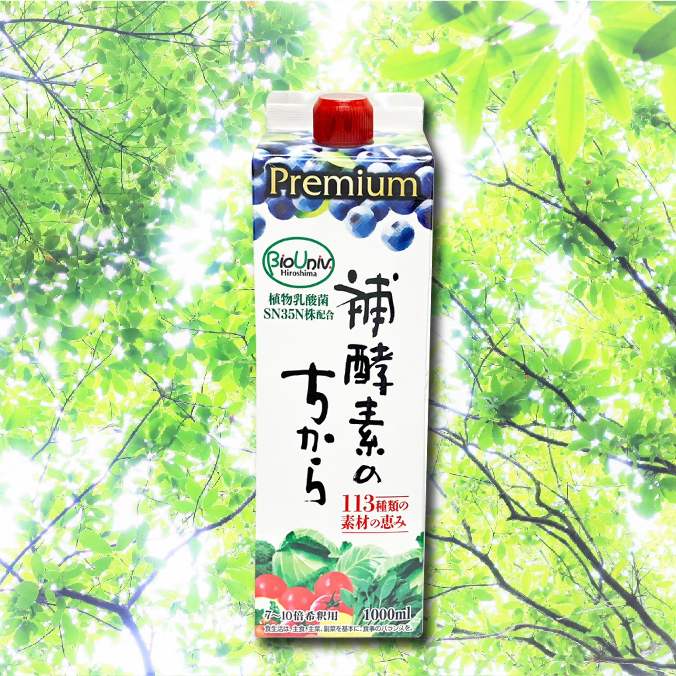 Premium coenzyme q10 bulk Lactobacillus Vitamin