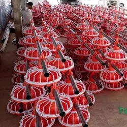 poultry feeding system feeder and drinker for chicken