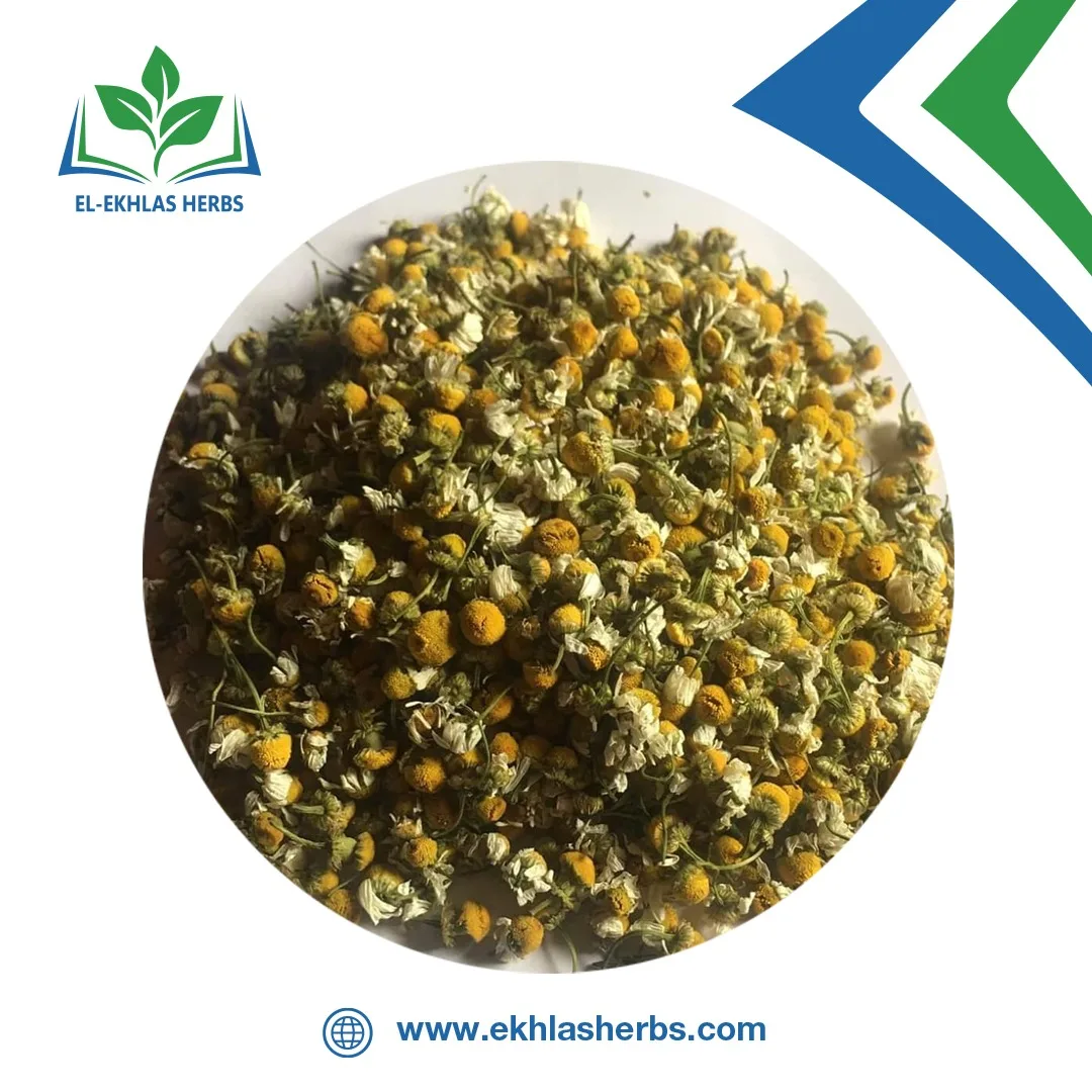 Высококачественные ингредиенты засушенный цветок хризантемы ромашка чай с ромашкой для расслабления и процветания желудка