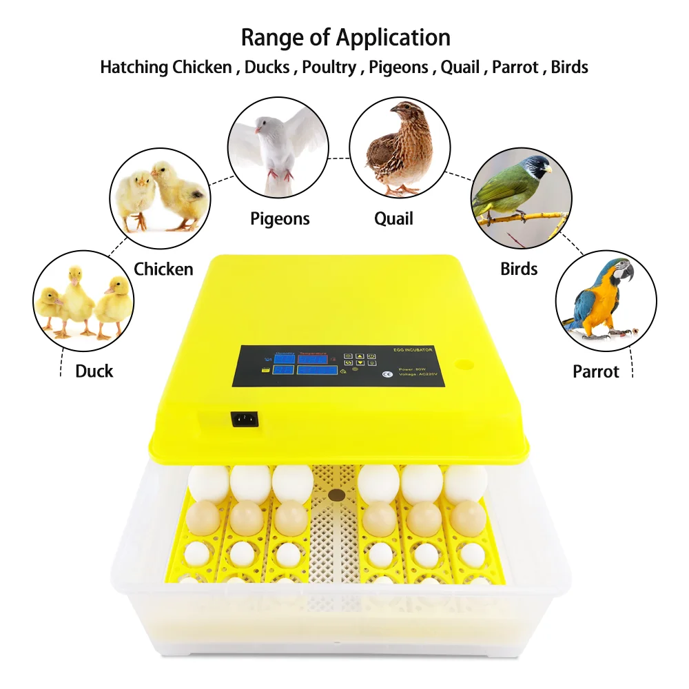 220v Power Supply Automatic Digital Egg Incubator 48 Incubators HT-48