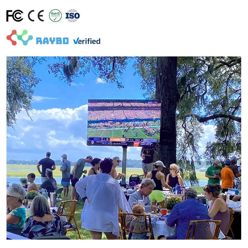 RAYBO High Resolution Fast Assemble Rental Outdoor Led Display Panel P2.9 P3.91 P4.81mm Led Screen Outdoor For Concert Event