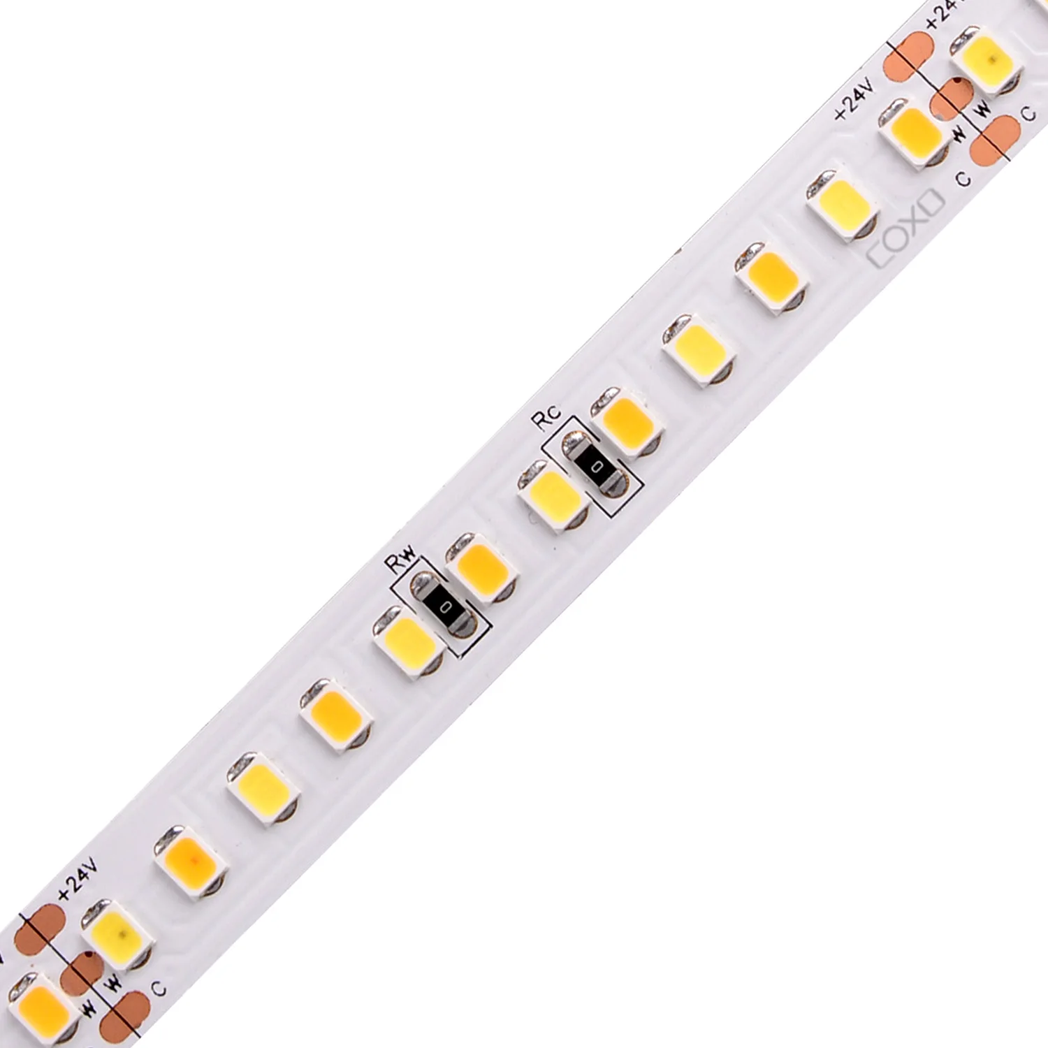 2835 168leds/m CCT LED Strip COXO