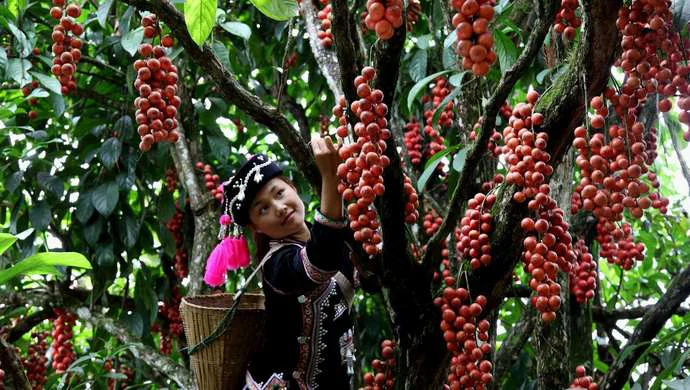 Кофе для похудения кофе Арабика светло-обжаренный без сахара крема Заводская поставка