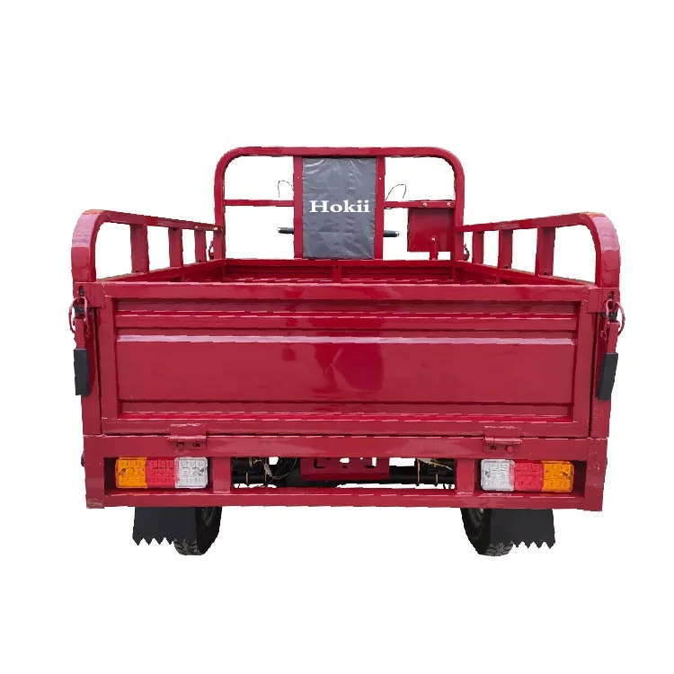 110cc Handicap Three Wheel Motorcycle Gas Powered Rusi Tricycle For The Elderly Tricycle Moto Reducteur