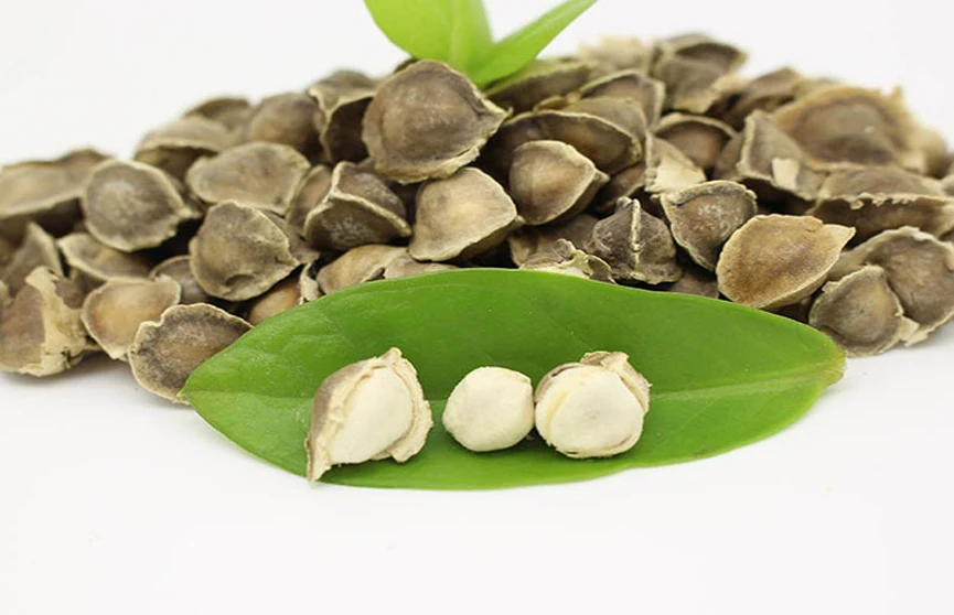 Wholesale Best Selling Pure Natural Moringa Seed Extract