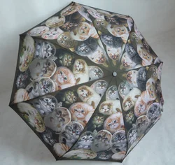 Ok Umbrella 21inch 8k auto open and close cat design 3 fordable umbrella for gift