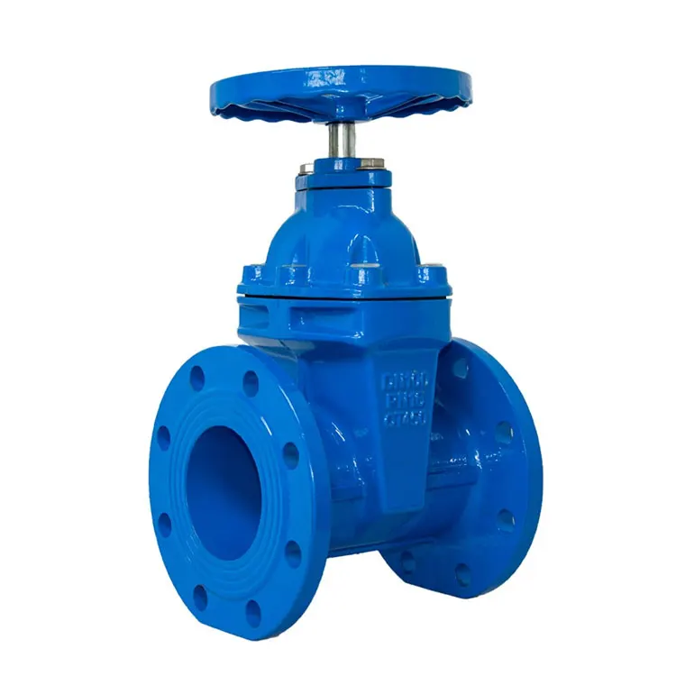 DN100 Water Rubber Soft Seal Ductile Iron Flanged Ends Gate Valve